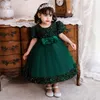 Baby Girl Dress Paljett Flower Vestidos Dopning Princess Toddler Birthday Party Ball Gown Nyfödda barn Kläder1 år