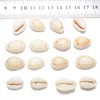 Anhänger Halsketten Perforierte Natürliche Shell Conch Charms Für Schmuck Machen DIY Armband Halskette Frauen Ohrring Zubehör 100PCS