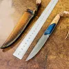 Promotion C7152 High End Fixed Blade Knife VG10 Damascus Steel Blade Full Tang Cured Wood Handle Outdoor Camping Hiking Survival Straight Knives with Leather Sheath