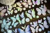 ギフトラップヴィンテージカラフルな蝶和紙ペットテーププランナーDIYカードスクラップブッキングプランの装飾ステッカー