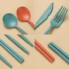 Dinnerware Sets Portable Reusable Spoon Fork Chopsticks Knife Wheat Straw Tableware Cutlery Set Travel Picnic Camping Kits Kitchen