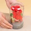 Blokuje romantyczne bloki konstrukcyjne Muzyki kwiaty DIY Plant Fairy Bukiet Dekoracja Dekoracja Dziewczyna Walentynki Prezent Dziecięce zabawki R230718