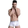 Underbyxor män underkläder trosor mesh sexig man shorts mjuka is siden trosor medium transparent andningsbar ultra tunn