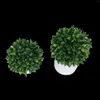 Decorative Flowers HXGYZP Artificial Potted Plants Plastic Fake Pepper Leaf Ball With White Cement Basin Office Shopping Mall Door Home