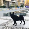 Moda serin kedi köpek kapüşonlu rahat yumuşak sıcak schnauzer fransız bulldog corgi teddy köpek sonbahar kış spor hoodie