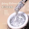 Nail Polish 12pcs Galaxy Star High Density Platinum gel Shiny Bright nail polish Glue Japanese Style Hooked Wire Drawing 230718