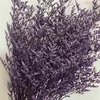 preserved natural dried flowers wholesale caspia Misty Limonium Preserved Limonium Flowers grass preserved flowers and plants