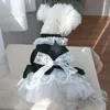 Hundebekleidung Sommer Prinzessin Haustier Kleid für Hunde Kleine Welpen Katze Tutu Hochzeit Party Rock Kleidung Chihuahua Yorks Spitzen-Bowknot-Kleider
