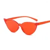 Lunettes de soleil Catles sans œil de style Eye femme Luxury Plastique Sunche de soleil Femelle Small Frame Miroir Océan Gafas de Sol Mujer