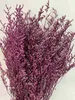 preserved natural dried flowers wholesale caspia Misty Limonium Preserved Limonium Flowers grass preserved flowers and plants