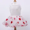 Abbigliamento per cani Princess Small Cat Dress Tutu Pet Puppy Wedding/Party Skirt Outfit Design a cuori a strisce