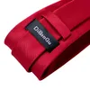 Cravatte di lusso rosso solido paisley cravatte di seta per uomo con cravatta anello spilla spilla festa di nozze uomo accessori fazzoletto gemelli regalo 230719