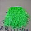 -10 meter Lot Lime Green Ostrich Feather Trimning Freane Ostrich Feather Freake Feather Trim 5-6 tum i bredd189h