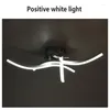 Ceiling Lights Simple Modern Corridor Chandeliers Creative Nordic Luxury Decoration Lamps Entrance Aisle Balcony Lighting Long Light