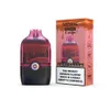 Commercio all'ingrosso Vape Tastefog Oner 5200 Puffs Sigaretta elettronica Starter Kit Ricaricabile Vape Pod