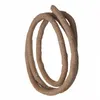 Reptile Supplies Large Flexible Vines Rattan Habitat Decoration Bendable Jungle Branches Climb Pet Supplies Reptiles Terrarium Decor 1.52.53m 230719