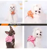 Dog Collars Leashes Small Harness Leash Collar Soft Suede Leather for Puppies Chihuahua Yorkie Cute Pet with Bow XL 230719