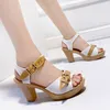 Sandalen Plateau High Heel Sandalen Damen Sommer Römischer Stil Peep Toe Gladiator Sandalen Metallschnalle Gummi Mode Sohle Schuhe 230718