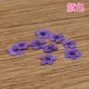 Nail Art Decorations 50Pcs 3D Dried Flowers Sticker Five Petal Flower Colorful Natural Real Dry Decal For Supplies