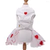 Abbigliamento per cani Princess Small Cat Dress Tutu Pet Puppy Wedding/Party Skirt Outfit Design a cuori a strisce