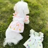 Chien vêtements mignon dentelle Plaid imprimé arc jupe Bichon maltais chat de compagnie et Costume vêtements pour petits chiens fille robes Yorkie