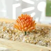 Konstgjorda suckulenter växter pvc simulering aloe lotus blomma landskap diy faux blommor kreativ hem dekoration diy tillbehör ll