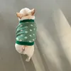 Automne hiver chat chien classique pull mode doux chaud Schnauzer bouledogue français Corgi Teddy chien pull