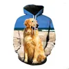 Moletons masculinos Golden Retriever masculino/feminino primavera inverno moletom com capuz estampado em 3D para cachorros de manga comprida moletons com capuz fashion street superdimensionado