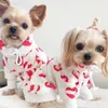 Mignon chat chien automne hiver vêtements créateur de mode Schnauzer bouledogue français sans poils chat chien manteaux