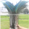 전체 1000 PCS Peacock Sword Fern Feather 25-30cm 10-12 인치 웨딩 센터 피스 장식 3300