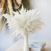 Dekorativa blommor naturliga fluffiga pampas gräs torkade blommor riktiga vassar konstgjorda diy bukett för bröllopsfest dekoration boho heminredning