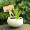 100pcs t-tipi bambu bitki etiketleri çevre dostu ahşap bitki işareti etiketler bahçe işaretleri bonsai tohumu saksı bitkiler çiçekler