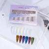 Nail Glitter HNDO tubo pequeño polvo de cromo líquido conjunto de 6 colores aurora camaleón brillo de uñas para decoración de uñas profesional pigmentos 230718