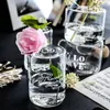 Vaser nordiska transparent glas hydroponic vas kreativ bordsskiva blomma potten grön växt bonsai container hem dekoration tillbehör