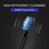 Cepillo de dientes Seago Electric Sonic Cepillo de dientes USB recargable para adultos 360 días de duración de la batería con 4 cabezales de repuesto Regalo SG-575 230718