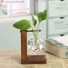 Wazony terrarium hydroponiczne wazony rośliny vintage kwiat przezroczystą wazon drewniana rama szklana rośliny tabletopa dom Bonsai Decor 510 R2 Z230719