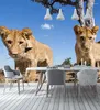 Обои бакальные обои HD 3D Lion Pography Pography Paclop стена большая роспись гостиная бумага