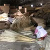 O-8017 OULI Super Low Prices September Dried Flower Dry Pampas Grass For Decoration