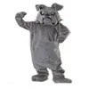 2019 factory new Cool Bulldog Mascot costume Gray School Animal Team Cheerleading Complete Outfit Adult Size257F