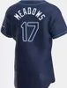 Personalizado Tampa Homens Mulheres Juventude Bay Rays 39 Kevin Kiermaier 18 Shane McClanahan 56 Randy Arozarena 68 Jalen Beeks 38 Colin Poche 5 Wander Franco Baseball Jerseys