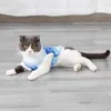 Roupa para cachorro, menino, camisa de verão, sem mangas, estampada, para cachorro, camiseta, colete respirável, roupas, gato