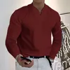 Polos para hombre Top Color sólido Slim Fit Manga larga Cremallera Colorido Cuello en V Camisa informal de otoño Camiseta 230718