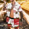 Agasalhos masculinos conjunto de camisa verão havaiano aloha leopardo zebra impressão 3D ao ar livre casual manga curta roupas abotoadas