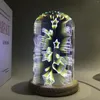 Luci notturne 3D Colorful Magic Creative Glass Lamp Home Decor Desk Camera da letto romantica Luce da comodino