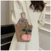 Evening Bags Cute Plush Shoulder Messenger Bag Women Luxury Handbags Purse Female Cherry Fur Ball Bucket Small Brand Crossbody