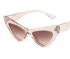 Solglasögon Candy Color Cat's Eye Vintage Small Frame Personality Fashion Street Po Catwalk Glasses