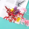 INTODIY Hot Sell Pressed Dry Flowers Naturl Mixed Random Dried Flower For DIY Epoxy Resin Craft Nail Art Materials