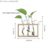 Vases Vases Home Creative Test Tubes Glass Planter Terrarium Flower Vase With Wooden Holder Propagation Hydroponic Plant Table Ornaments Z230719