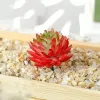 Piante grasse artificiali Simulazione in PVC Aloe Fiore di loto Paesaggio Fiore finto fai da te Decorazione domestica creativa Accessori fai da te LL