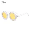 Lunettes de soleil mignon enfants marguerite adulte fleur ronde en plein air Protection solaire lunettes roman fête nuances pour filles femmes